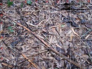 image001